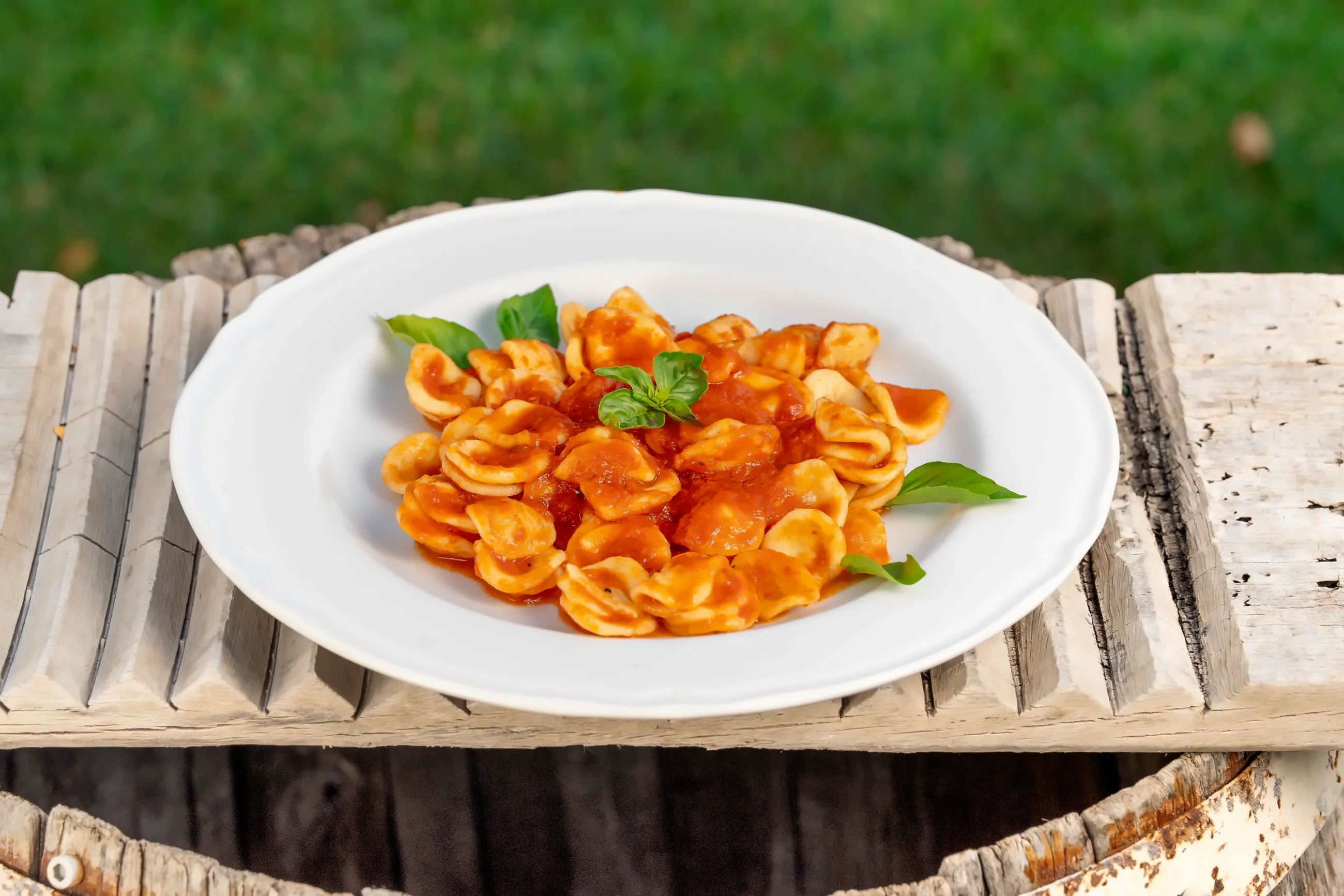 Orecchiette al pomodoro fresco e basilico